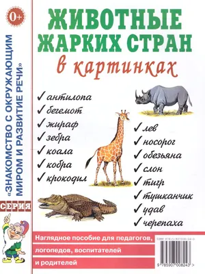 Животные жарких стран: 12 карточек с картинками, стихами и загадками для  занятий с детьми купить по цене 78 ₽ в интернет-магазине KazanExpress