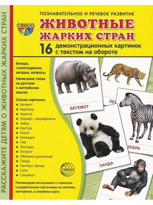 Демонстрационные картинки \"Животные жарких стран\" (16 картинок) | Цветкова  Т. В. - купить с доставкой по выгодным ценам в интернет-магазине OZON  (791973689)