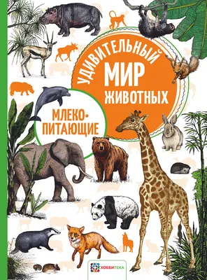 Объявлен конкурс на лучшую методическую разработку «Мир животных» по  познавательному развитию детей дошкольного возраста | 29.12.2021 | Балаково  - БезФормата