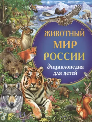 Животный мир: Энциклопедии - 28 Декабря 2020 - ЦДЧ \"Радуга\" Невьянская  детская библиотека