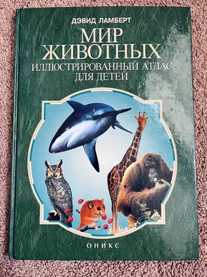 Карта России РУЗ Ко Для детей. Животные. Техника. Достопримечательности.  Ламинированный картон. купить по цене 477 ₽ в интернет-магазине Детский мир