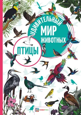 Картинки Дикие животные для детей 4 5 лет (39 шт.) - #1271