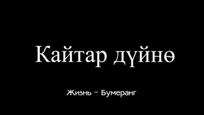 Жизнь - бумеранг. К тому и ведётся: что... | Интересный контент в группе  Все это наша жизнь ( жизненные статусы)