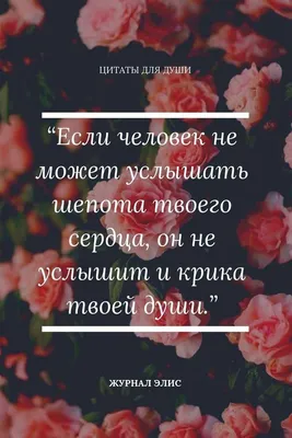 жизненные статусы / смешные картинки и другие приколы: комиксы, гиф  анимация, видео, лучший интеллектуальный юмор.