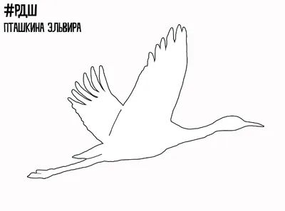 Журавль зимующая птица - 66 фото