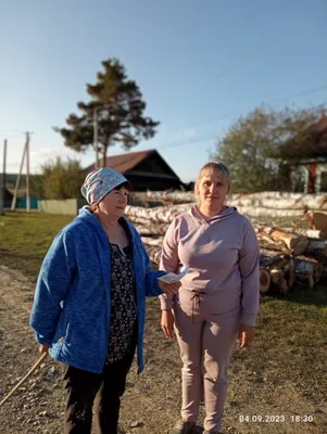 Утро в сосновом лесу», на объектив видеокамер жителей села Зилаир попали  медведи