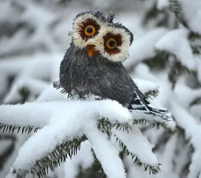 С первым днём зимы ❄ Большая …» — создано в Шедевруме