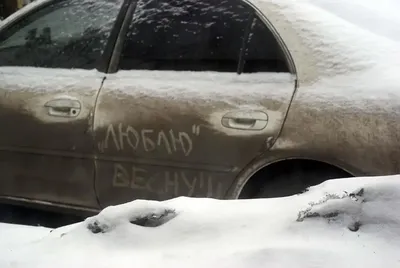 Встречаем зиму энергично, бодро и с хорошим чувством юмора!