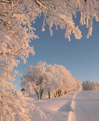 Картинки зима красивые пейзажи - 69 фото