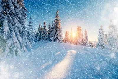 Зима Картинки фотографии