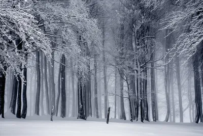 Русская зима: 30 самых красивых уголков нашей страны — Российское фото
