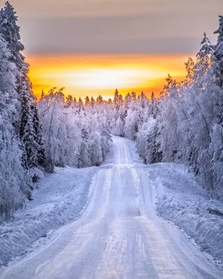 Снежная зима картинки красивые - 66 фото