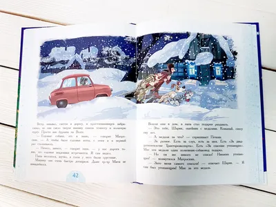 Читать онлайн «Зима в Простоквашино и другие истории», Эдуард Успенский –  Литрес