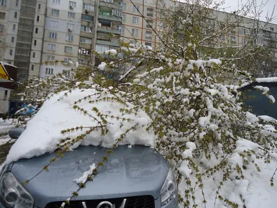 Картинки опять зима вернулась доброе утро