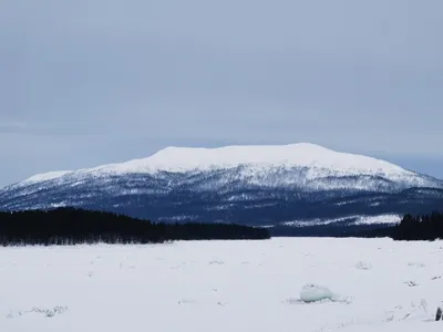 В Беларусь вернулась зима_Russian.news.cn