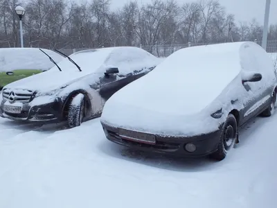 Майский снег: В район Бурятии вернулась зима. ФОТО