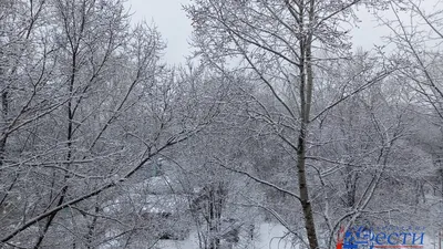 Зима вернулась!❄️ ☃️ Принимаем бронирования для маленьких или больших  компаний👍🏻. Два уютных гостевых дома разной вместимости🏠🏡. На все… |  Instagram