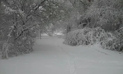 Зима вернулась!