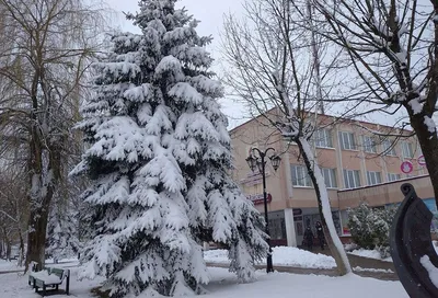 Апрельский снег: В Бурятию вернулась зима. ФОТО, ВИДЕО