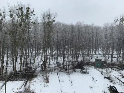 Зима исчезла на пару лет, но вернулась. Снежная морозная фотопрогулка в  преддверии Нового года / декабрь 2021 | Фотокладовка | Дзен