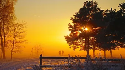 Сегодня, 21 декабря, день зимнего солнцестояния | GreenPost