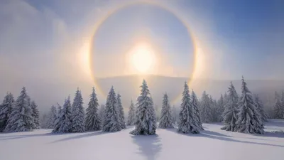 Зимнее солнцестояние: что это такое и когда этот день в 2023 году?! |  Совушка Таро | Дзен