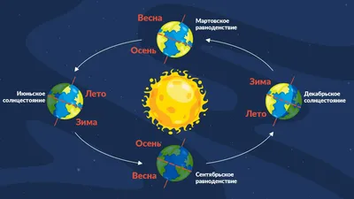 На Земле наступило Зимнее солнцестояние | Общество