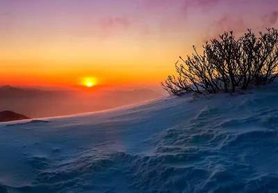 Зимнее солнцестояние 2023: о чем может сказать самый короткий день в году