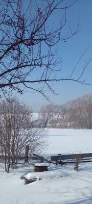 Зимняя перепись зверей и птиц началась на природных территориях столицы