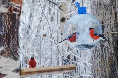 Отличная зимняя погода ❄️❄️