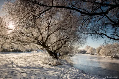 Зимняя погода - солнечная зимняя погода, зимняя погода фото – ФотоКто