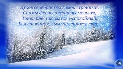 Зимняя сказка леса»: рекордное количество участников экологического конкурса