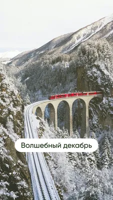 Реакции Геншин импакт - Зимние авы 2.0 - Wattpad