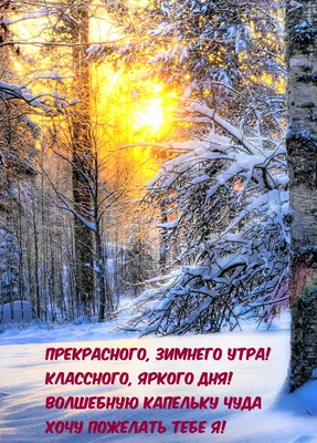Открытки открытка доброе зимнее утро с добрым зимним утром доброе утро