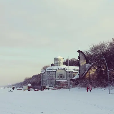 Зимний пейзаж ночью с людьми, весело и мероприятия на свежем воздухе, на  новый год, Рождество в деревне с людьми Иллюстрация вектора - иллюстрации  насчитывающей активизма, друзья: 200301745