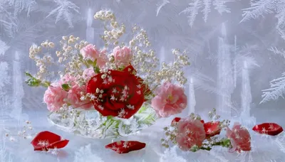 Букет «Зимние розы» - заказать и купить за 5 650 ₽ с доставкой в  Санкт-Петербурге - партнер «Butterfly Flower»