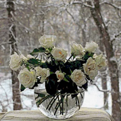 Букет из красных роз \"Зимние розы\" - заказать и купить цветы с доставкой |  Donpion