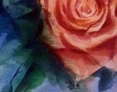 Пазл «Зимние розы» из 324 элементов | Собрать онлайн пазл №10169