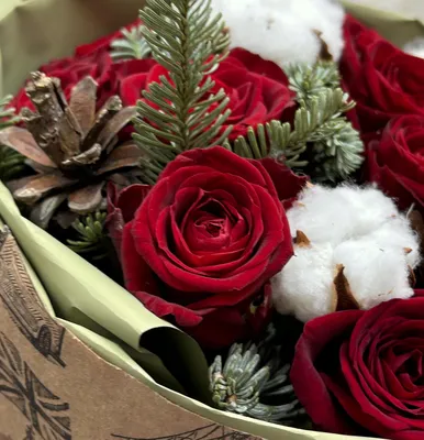 Зимние розы» картина Жаденовой Натальи (картон, пастель) — купить на  ArtNow.ru