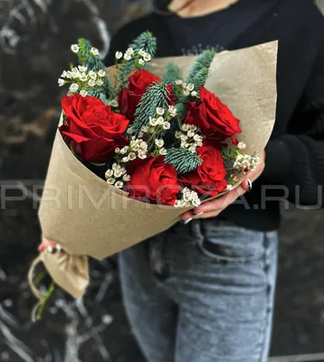 Зимние розы… Мой Сад. Москва. Фотограф akmal