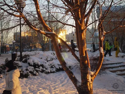 Снежки и санки - зимние забавы детей в Ташкенте — фото