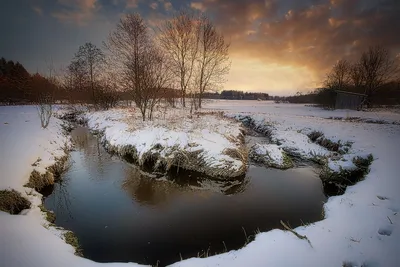 Зимний вечер в лесу. Photographer Gorshkov Igor