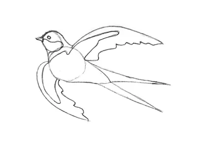 Перелетные птицы рисунок карандашом - 79 фото