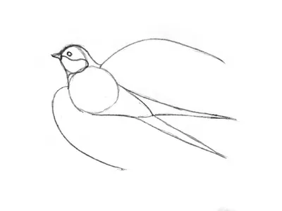 Перелетные птицы рисунок карандашом - 79 фото