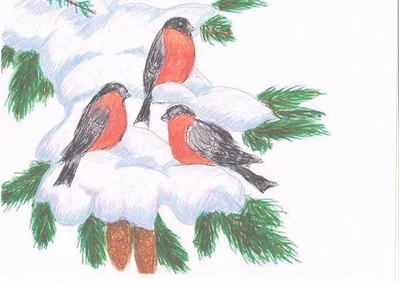 Картинки для детей перелетные птицы весной (67 фото) » Картинки и статусы  про окружающий мир вокруг