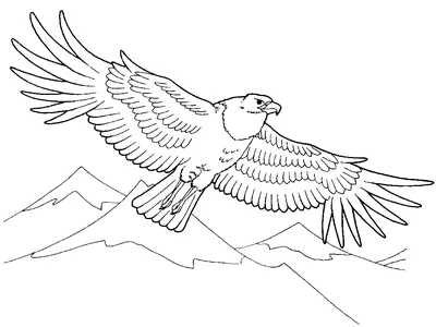 Рисунки на тему птицы зимой (49 фото) » рисунки для срисовки на Газ-квас.ком