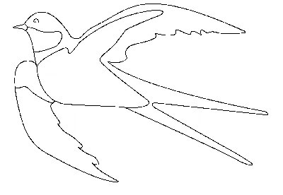 Тропическая птица с хохолком - 56 фото