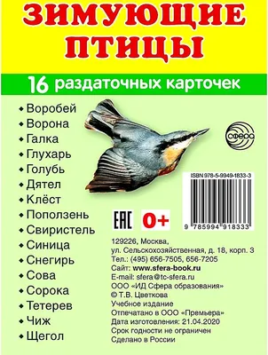 Презентация к уроку окружающего мира \"Птицы Югры\"