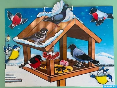 Проект «Зимующие птицы» (подготовительная группа) (1 фото). Воспитателям  детских садов, школьным учителям и педагогам - Маам.ру
