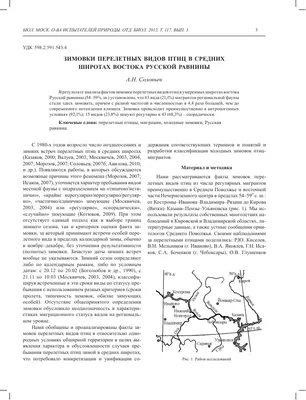 Проект «Птицы Южного Урала» для старшей группы (3 фото). Воспитателям  детских садов, школьным учителям и педагогам - Маам.ру